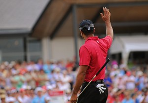 Tiger saluda al público de Sydney.  Tony Bowler / Shutterstock.com