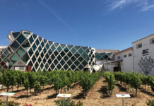 Ruta del vino del Condado de Huelva: Con los 5 sentidos