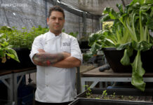Entrevista con Diego Gallegos, Chef de Sollo Restaurante
