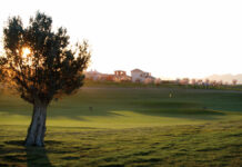 3 courses with a winning combination