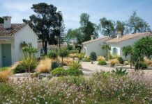 Boho Club, an oasis of luxury and haute cuisine in Marbella Bungalows