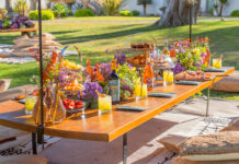 Los picnics literarios de Boho Club, la nueva iniciativa gastro-cultural en Marbella Boho club -picnics