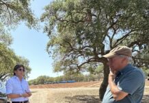 Valderrama II El gran proyecto del Grupo La Zagaleta Valderrama II- Tom Doak