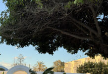 Maya Garden, el nuevo oasis gastronómico en Marbella Entrada Maya Garden