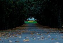 Augusta National y el Masters, la excelencia del golf Magnolia Lane Augusta National