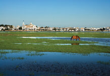 Huelva, el destino que lo tiene todo Marismas de Doñaña - Huelva