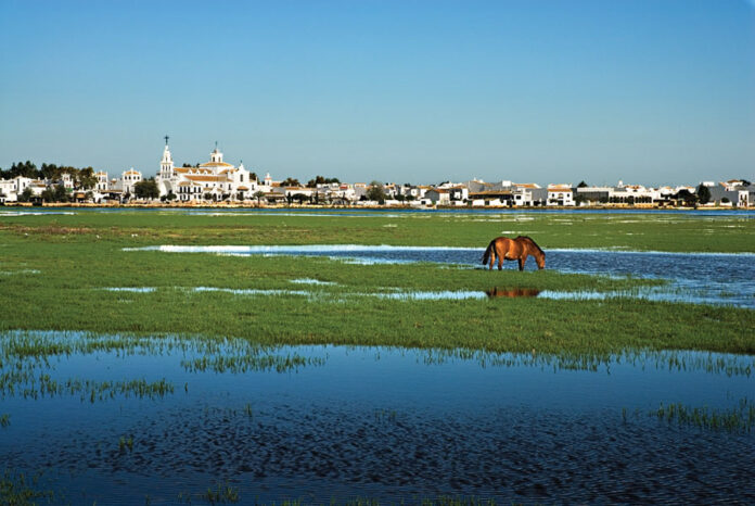 Marismas de Doñaña - Huelva