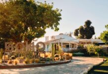 La Petite Maison debuta en España con un exclusivo Pop-Up gastronómico en Boho Club La Petit Maison - Boho Club