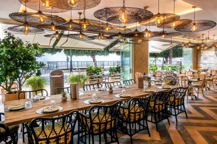 VISTA SALON ENTRE LIMONES