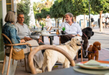 En Entre Limones, Marbella, los mejores planes incluyen a tu perro pet friendly Entre Limones